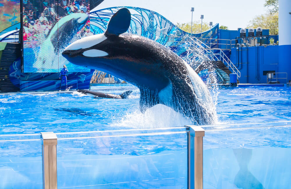 Sea World ©Ami Parikh / Shutterstock.com