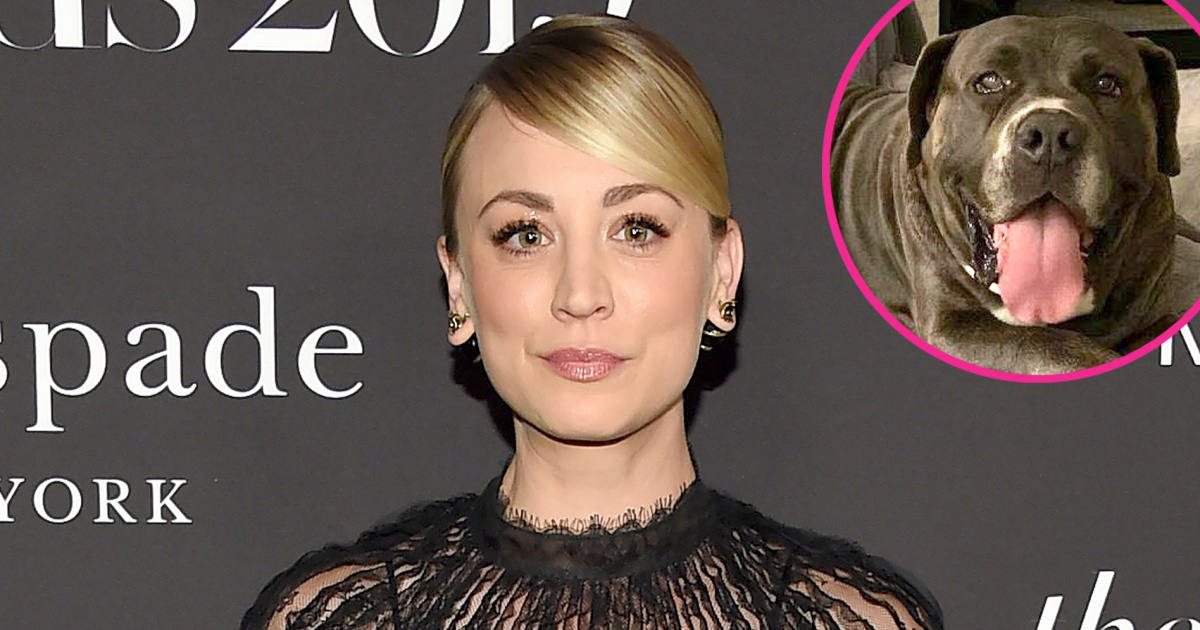 Kaley Cuoco Adopts New Dog Larry 5 Months After Pup Norman’s Death